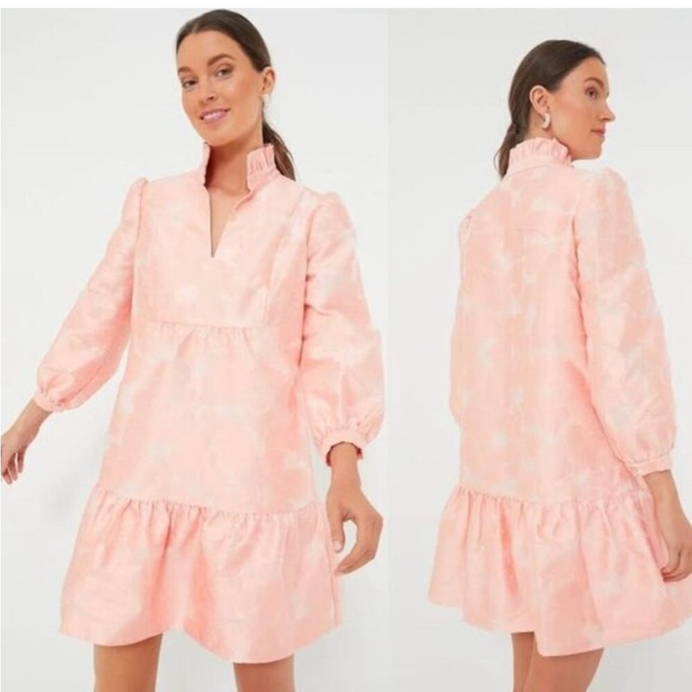 Tuckernuck NEW Bellini Fil Coupe Pink Long Sleeve Palmerston Dress XXS